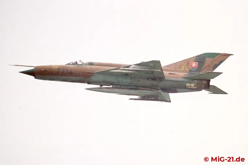 Jeweils eine weitere Maschine nahm an der Parade zu Beginn der Airshow teil ...