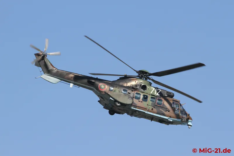 ... Cougars dropped special forces.