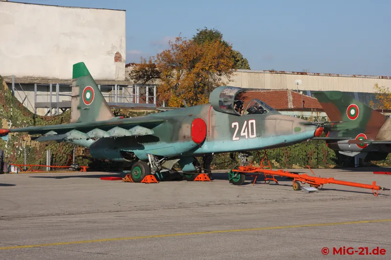 Of course, one example of each of the flying types was also present, such as this Su-25.