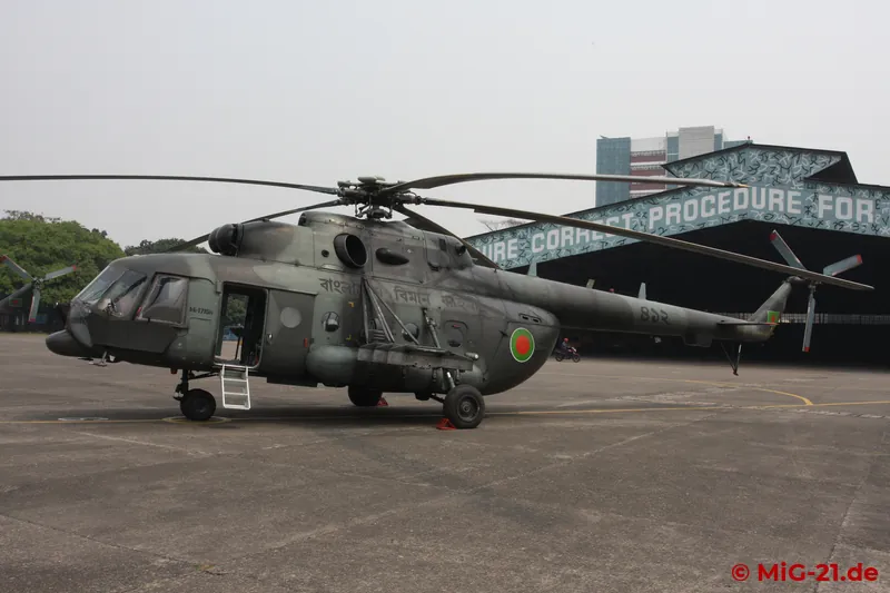 ... with very different camouflage patterns ...