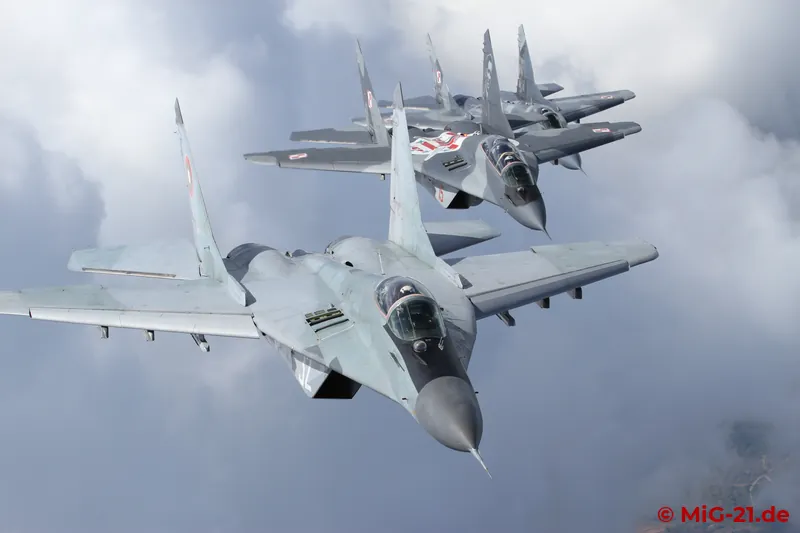 ... which together in formation make a really beautiful motif.