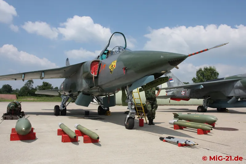 ... and the 241st fighter-bomber squadron were displayed on the ground but did not take part in the flying …